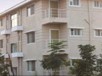 Central Park 