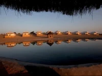 The Thar Oasis Resort & Camps 