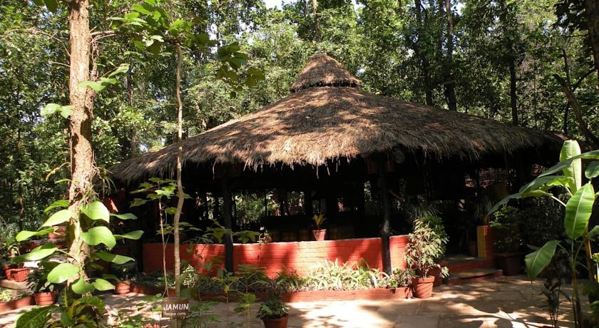 Kanha Jungle Lodge 