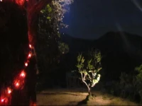 Camp Theva Heights 
