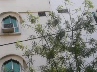 Hotel Abhineet Palace 2*