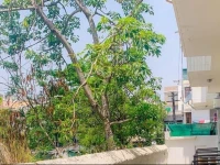 Bhola Bhawan Bed and Breakfast 