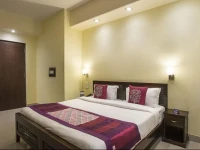 OYO Premium Ahinsa Circle C Scheme 