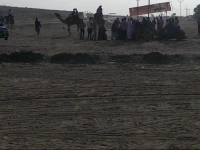 Aljuma Camp 