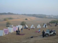 The Safari Camp Khuri 