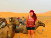 Tofu Safari 