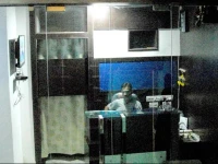 Hotel Real Residency 