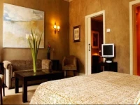 Vista Rooms at Khaas Bagh 