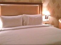 Manyaa Hotels 
