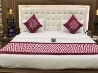 OYO Premium Model Town Hisar 