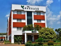 The Orchard 
