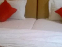 Silver Stayz Inn 
