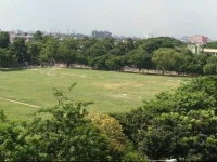 Hotel Green View 