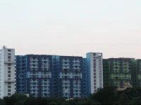 Emerald Vibgyor 