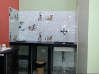 Sabinas Nest 
