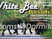 Stay Rooms and Dormitories 