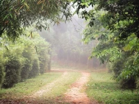 3 Hills County 