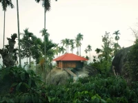 Marmalade Springs Resort Wayanad 