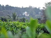 Sunrise Homestay 