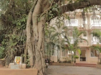 Ginger Tree Beach Resort 