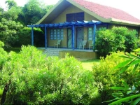 The Celebration Van Vilas 