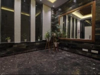 Dippys Hotel 