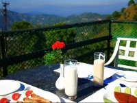 Kasauli Regency 