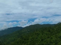 Whispering Pines Home Stay 