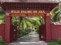 Wild Palms on Sea 