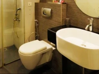 OYO Premium Himayathnagar 