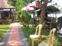 Mangrove Island Village 