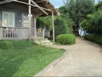 Lotus Resort 
