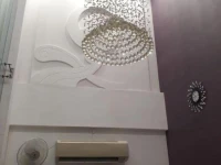 Hotel Mittal Orchid 