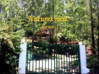 naturesnest 