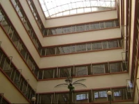 Hyson Heritage 