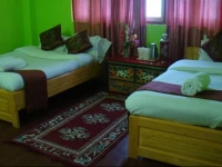 Hotel Golden Fish Lachung 