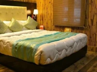 STARiHOTELS Charbagh Lucknow 