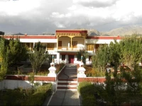 Global Family Home 