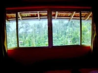 Coorg Green Nest Homes 