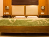 Hotel Maharaja 