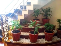 Kanchan Recreation 