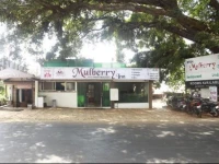 Mulberry Inn 