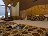 Village Classic Cottage Manali 