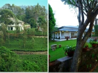 Parisons Plantation Experiences 