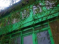 Junglebook Homestay 