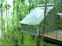 Ranches Jungle Beats Resorts 