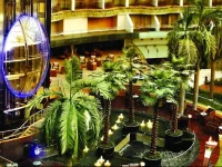 Hotel Sahara Star 