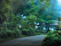 Bellavista Resort Munnar 