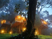 Nature Zone Jungle Resort 