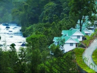 Rivulet resort 